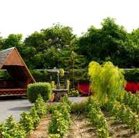 泰國北碧_Kan's haus family cafe_網美打卡霜淇淋