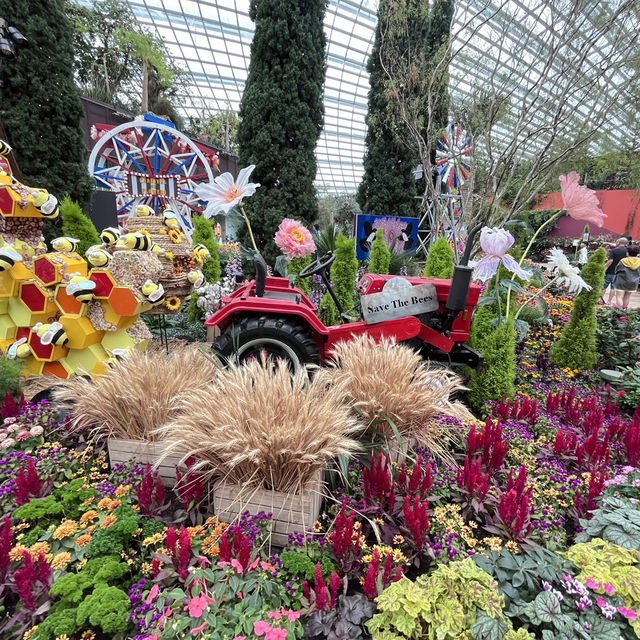 Explore the beauty of Flowers Dome of Singapore Garden by the bay