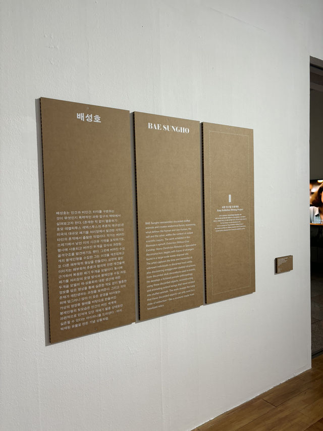 배성호작가 전시회