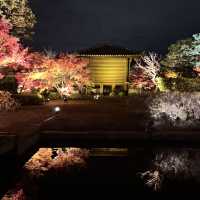 怎能抗拒「東寺夜楓」的倒影😍