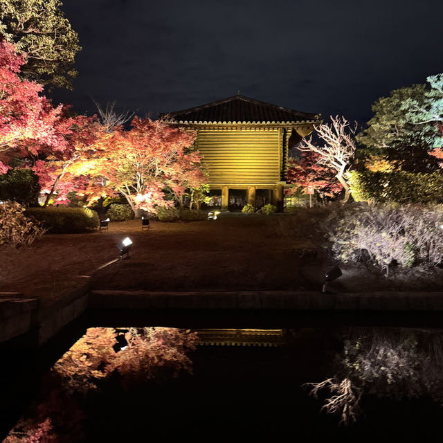 怎能抗拒「東寺夜楓」的倒影😍