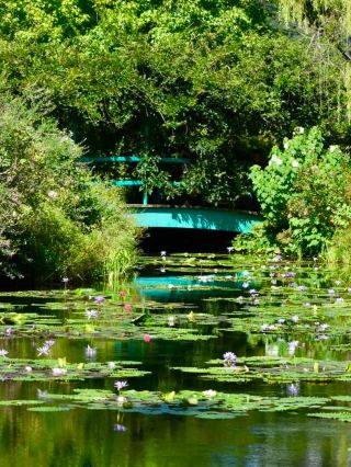 【高知・北川村】莫內花園（獲得克勞德·莫內基金會官方認證）