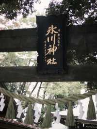 ⛩️ 縁結びと美しさの象徴：川越氷川神社 💕  