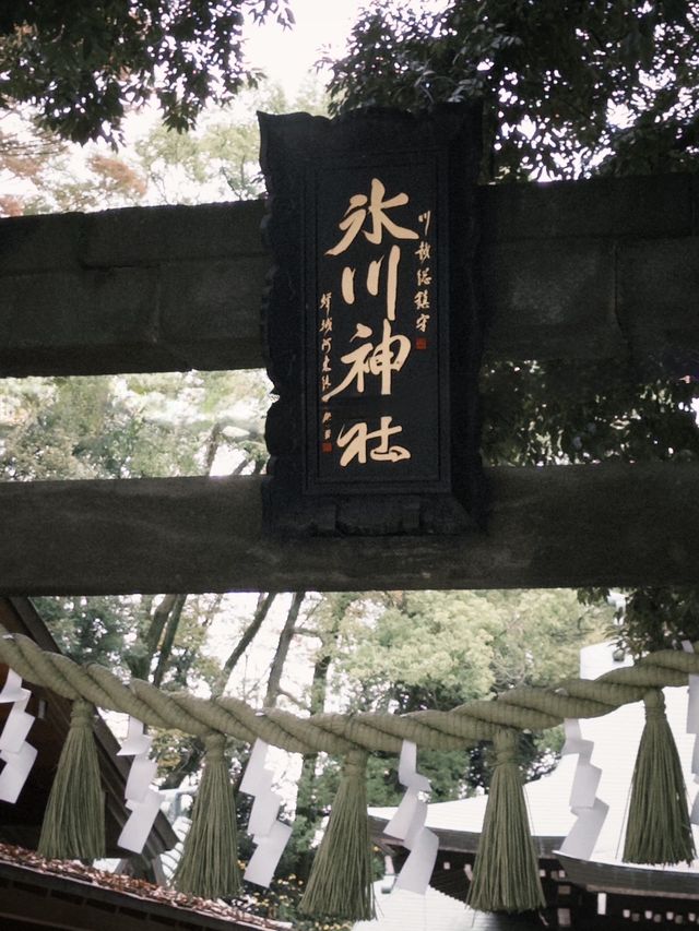 ⛩️ 縁結びと美しさの象徴：川越氷川神社 💕  