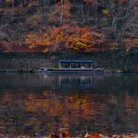 深秋紅葉下的嵐山公園