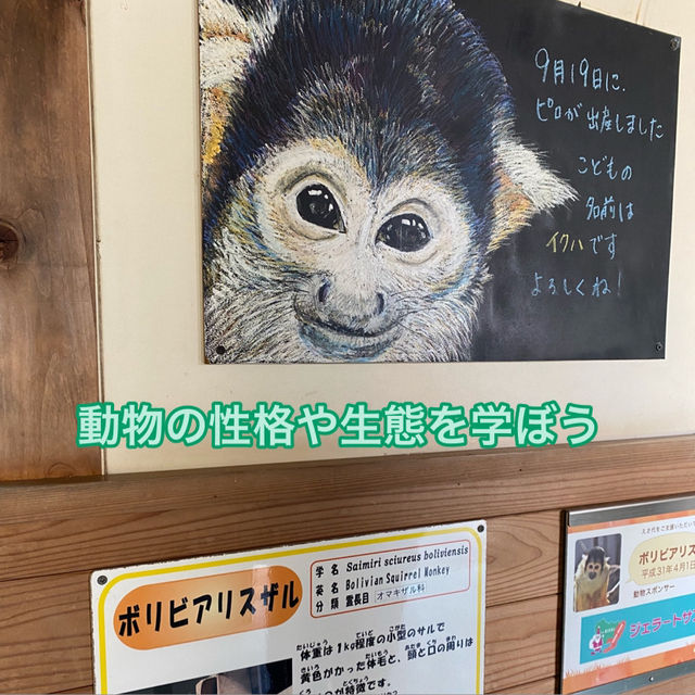 動物に癒されよう！のんほいパーク(豊橋総合動植物公園）