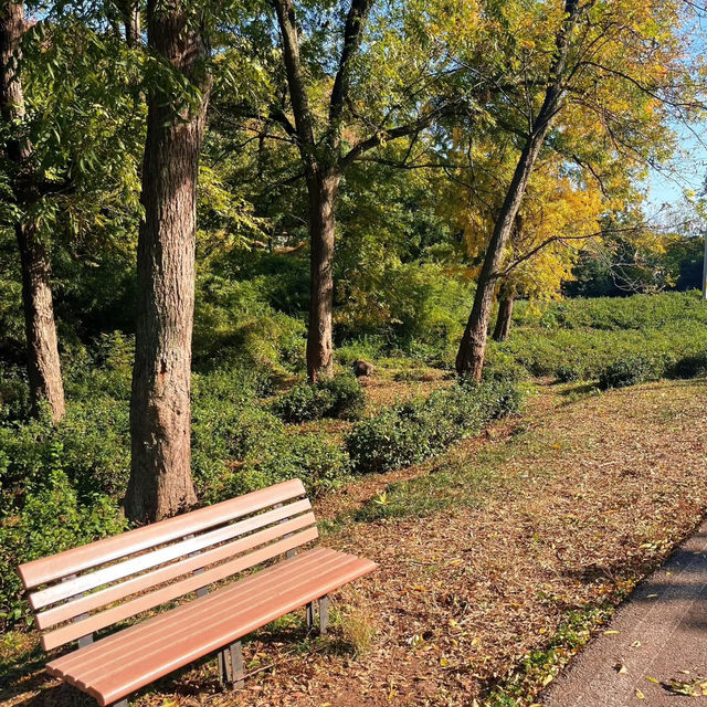 上塔悠公園🛣️城市氧吧🌳🌼
