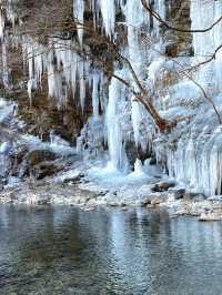 【秩父の冬の風物詩】三大氷柱   「三十槌の氷柱」天然はこちらだけ！