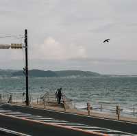 วันเดียวเที่ยวเมืองคามาคุระกับ 11 สถานที่ห้ามพลาด