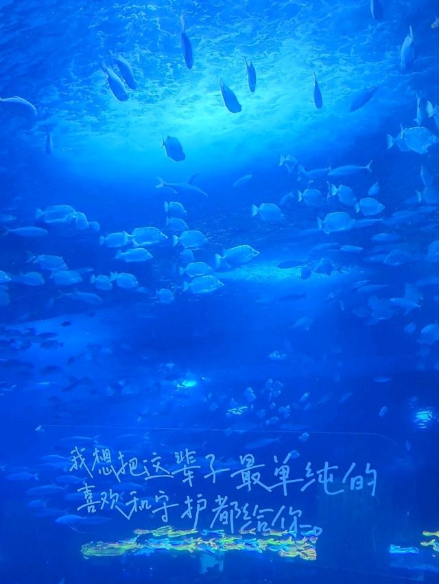 นางเงือกมีจริงที่ Zhejiang Polar Ocean World