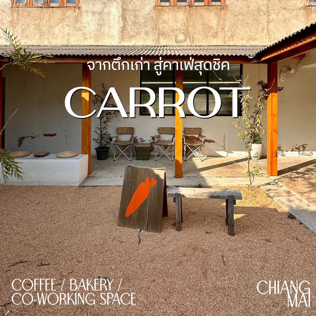 CarrotCoffee🥕จากตึกเก่าสู่คาเฟ่สุดชิค เชียงใหม่