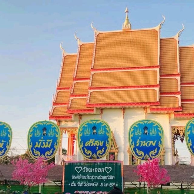 วัดมะกอก อ.ตาพระยา จ.สระแก้ว