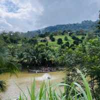 Bentong Farm Natural Gems 