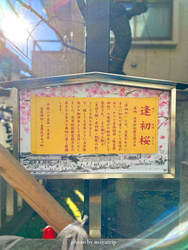 女性の様々な願いを叶えてくれる吉原神社【東京/浅草】