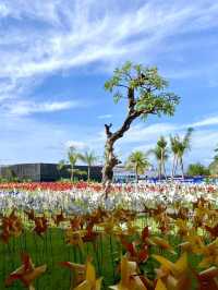 Labuan Bajo City Tour: Gateway to Adventure