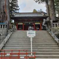 Exploring the Grandeur of Nikko Toshogu Shrine
