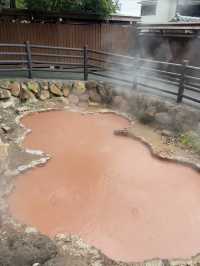 Beppu: Japan’s Hot Spring Paradise