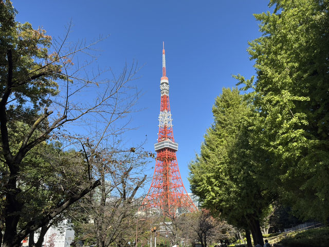 芝公園之旅：心靈的綠洲