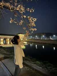 경주 야경 보기_ 월정교 !🌙
