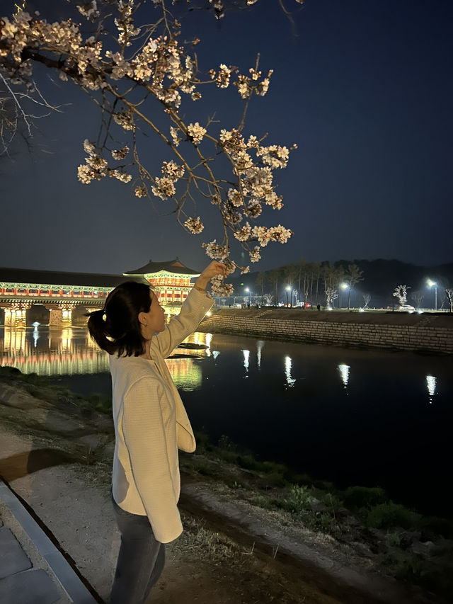 경주 야경 보기_ 월정교 !🌙