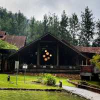 Tranquil Retreat at Pineyard Café