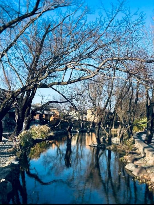 Beautiful view of Shaxi Ancient Town 💜