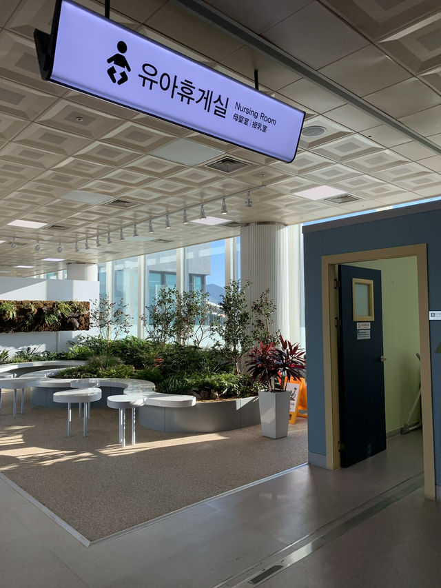 자연과 함께 김해공항