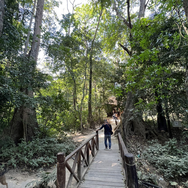 ตาดกวางสี Beauty of Luang Prabang