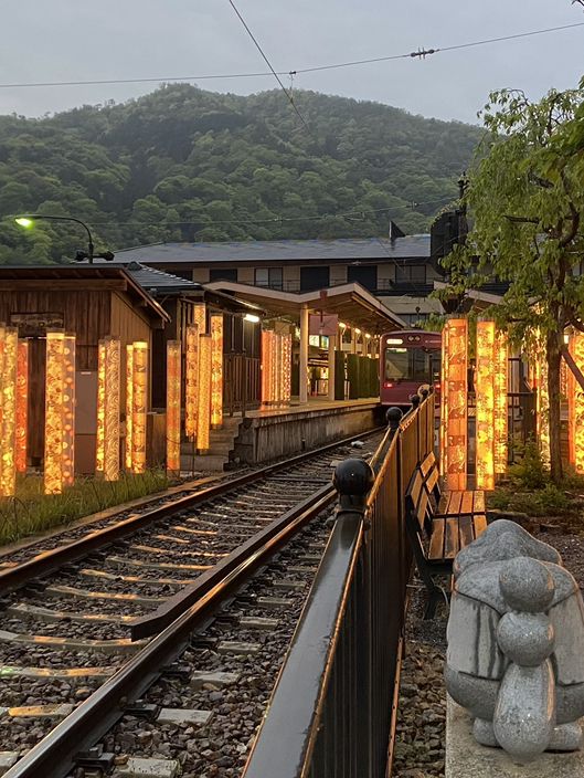 Kimono Forest: A Dreamlike Stroll