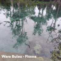 Fissoa River - New Ireland Province, Papua New Guinea