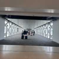설레는 공항