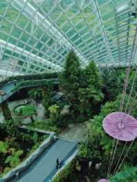 Cloud Forest ที่เที่ยวสิงคโปร์ห้ามพลาด