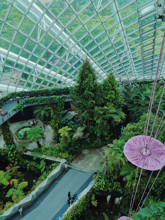Cloud Forest ที่เที่ยวสิงคโปร์ห้ามพลาด