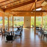 A Peaceful Retreat in Nature: Cafe Azalea