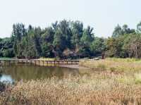 The Hong Kong Wetland Park — Nature in an Urbanscape