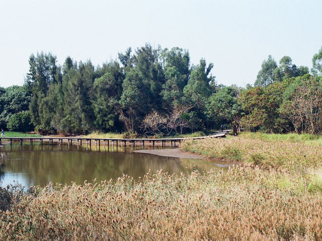 The Hong Kong Wetland Park — Nature in an Urbanscape