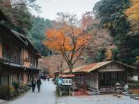  Jingo-ji 