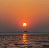 ร้านอาหารย่านบางปู