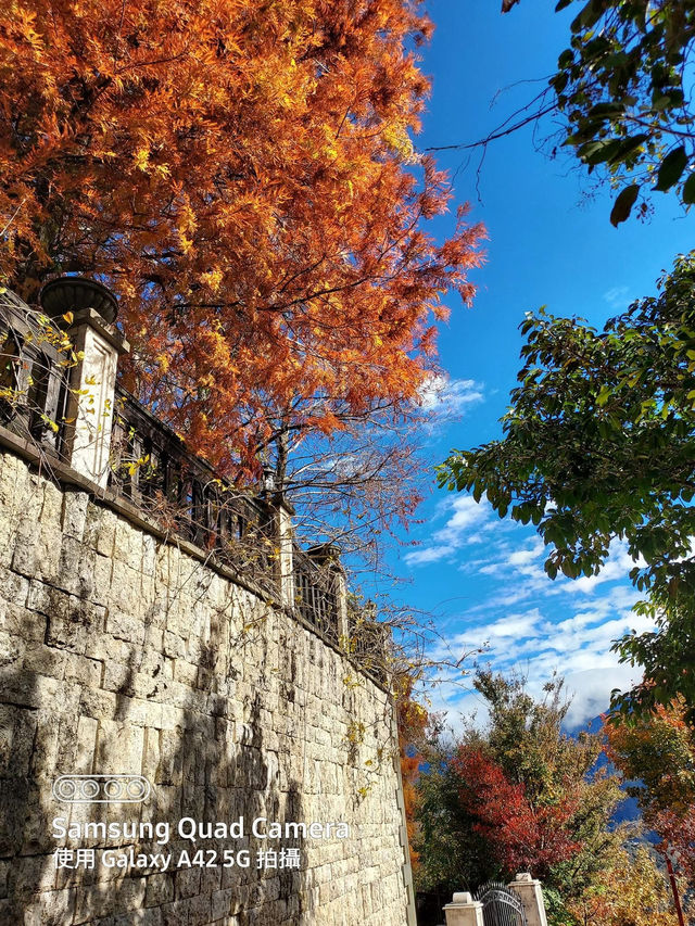 瑞士小花園
