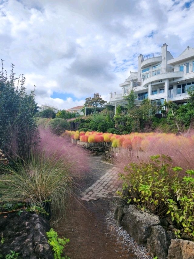 🍊제주도 동백꽃 명소 제주 마노르블랑