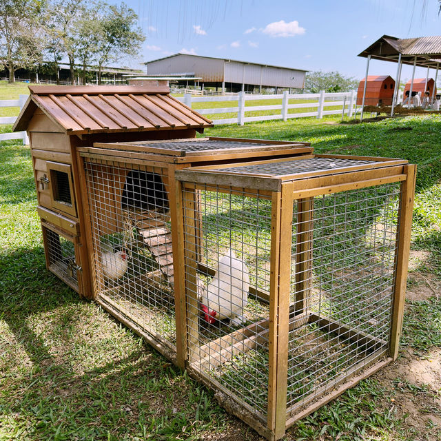 Fresh From the Farm: A Dairy Delight at Farm Fresh @UPM!