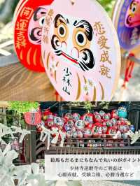 【パワースポット】縁起だるま発祥のお寺でだるまに祈ろう