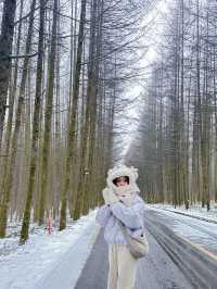 Guangwu Mountain, Nanjiang County