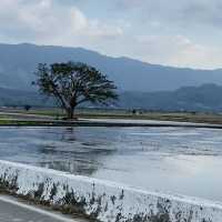 冬日田野漫遊-靜謐又美的旅程