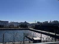 インターコンチネンタル横浜Pier 8の屋上夜景と朝食@横浜