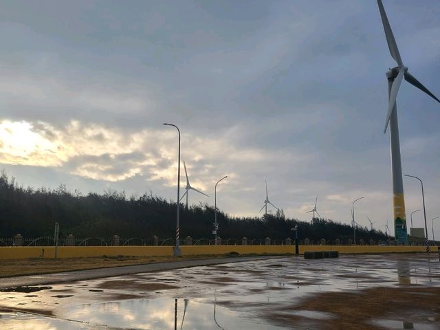 고미습지 타이중근교투어
