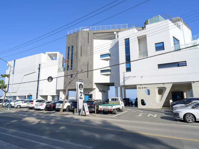 부산 기장 풀빌라 가성비 좋은 씨앤트리 펜션🏠