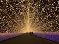 สวนดอกไม้ล้ำๆ และแสงสียามค่ำคืนอลังการ ใกล้นาโกย่า