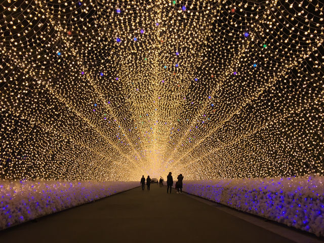 สวนดอกไม้ล้ำๆ และแสงสียามค่ำคืนอลังการ ใกล้นาโกย่า