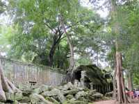 A Temple Frozen in Time: Ta Prohm